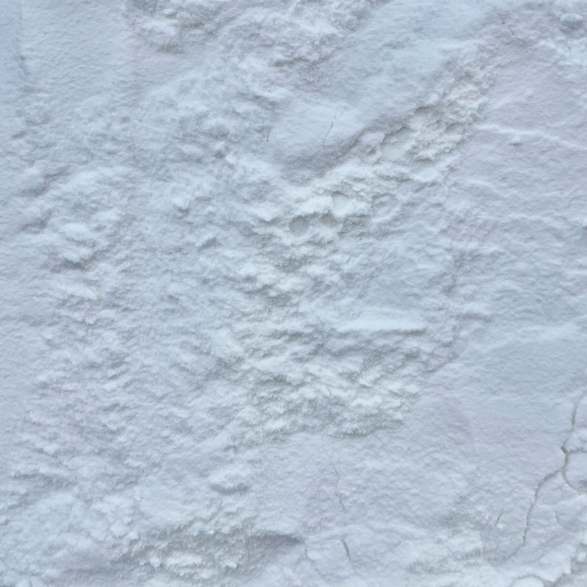 ORGANIC COCONUT WATER, powder Essential Organic Ingredients