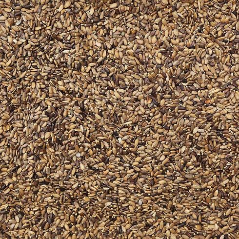ORGANIC MILK THISTLE SEED, whole