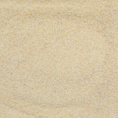 ORGANIC GARLIC, granules