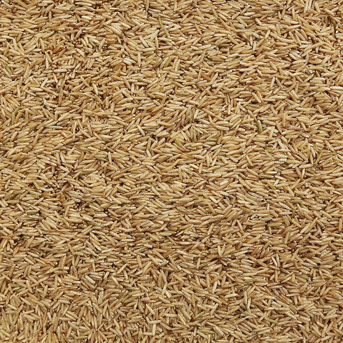 ORGANIC JASMINE RICE, brown