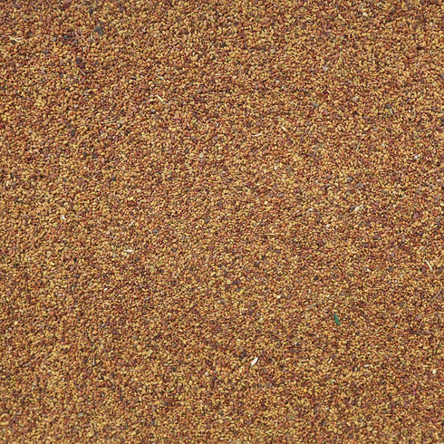 ORGANIC ALFALFA SEEDS, sprouting