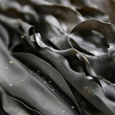 ORGANIC KOMBU, whole