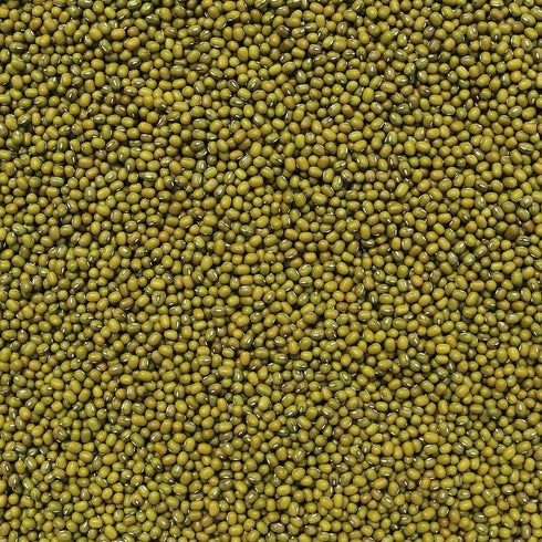 MUNG BEANS