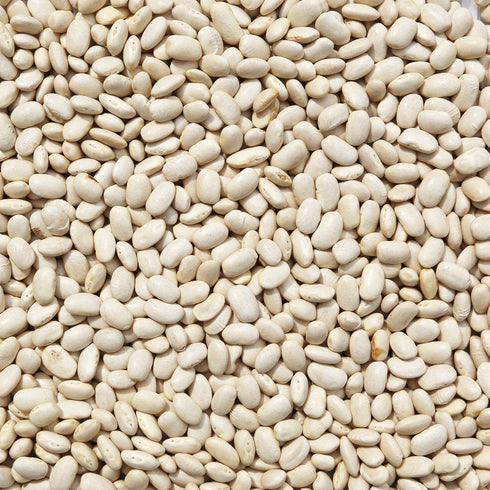 ORGANIC CANNELLINI BEANS