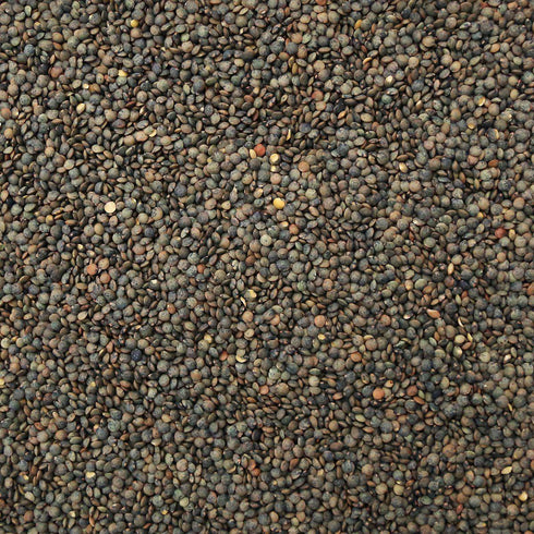 ORGANIC LENTILS, French