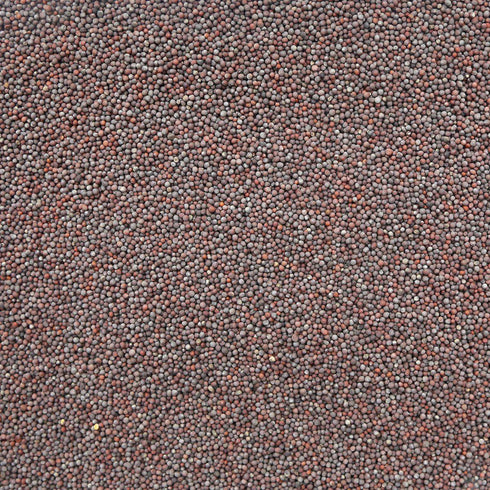 ORGANIC MUSTARD SEEDS, brown, whole