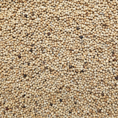 ORGANIC PEPPERCORN, white, whole
