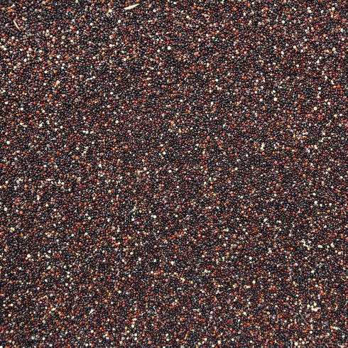QUINOA, black