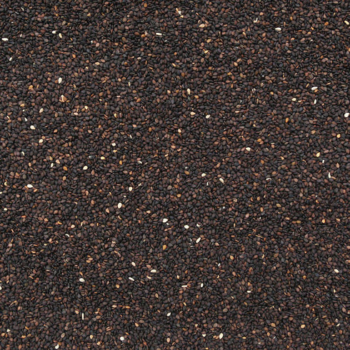 ORGANIC SESAME SEEDS, black