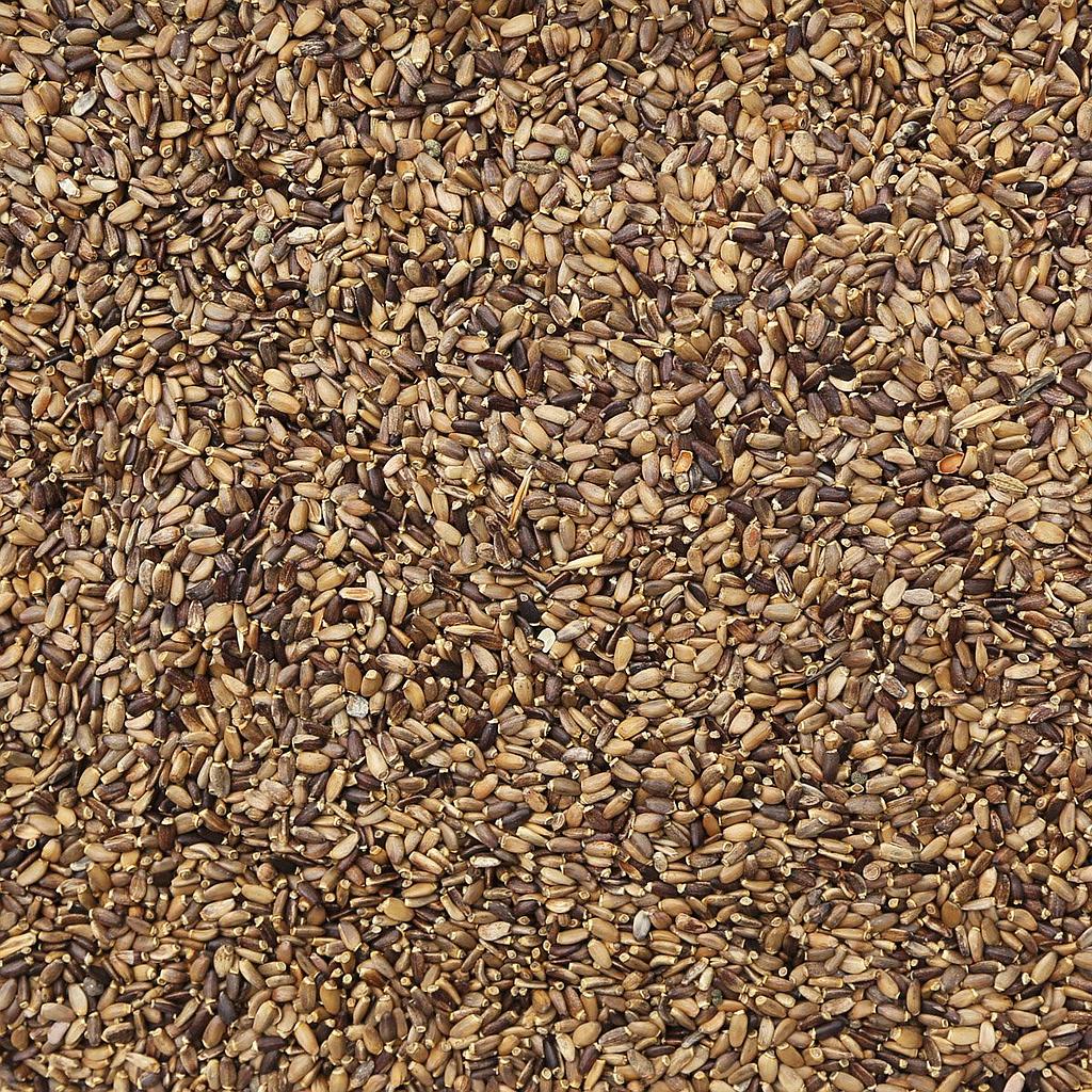MILK THISTLE SEED, whole – Essential Organic Ingredients