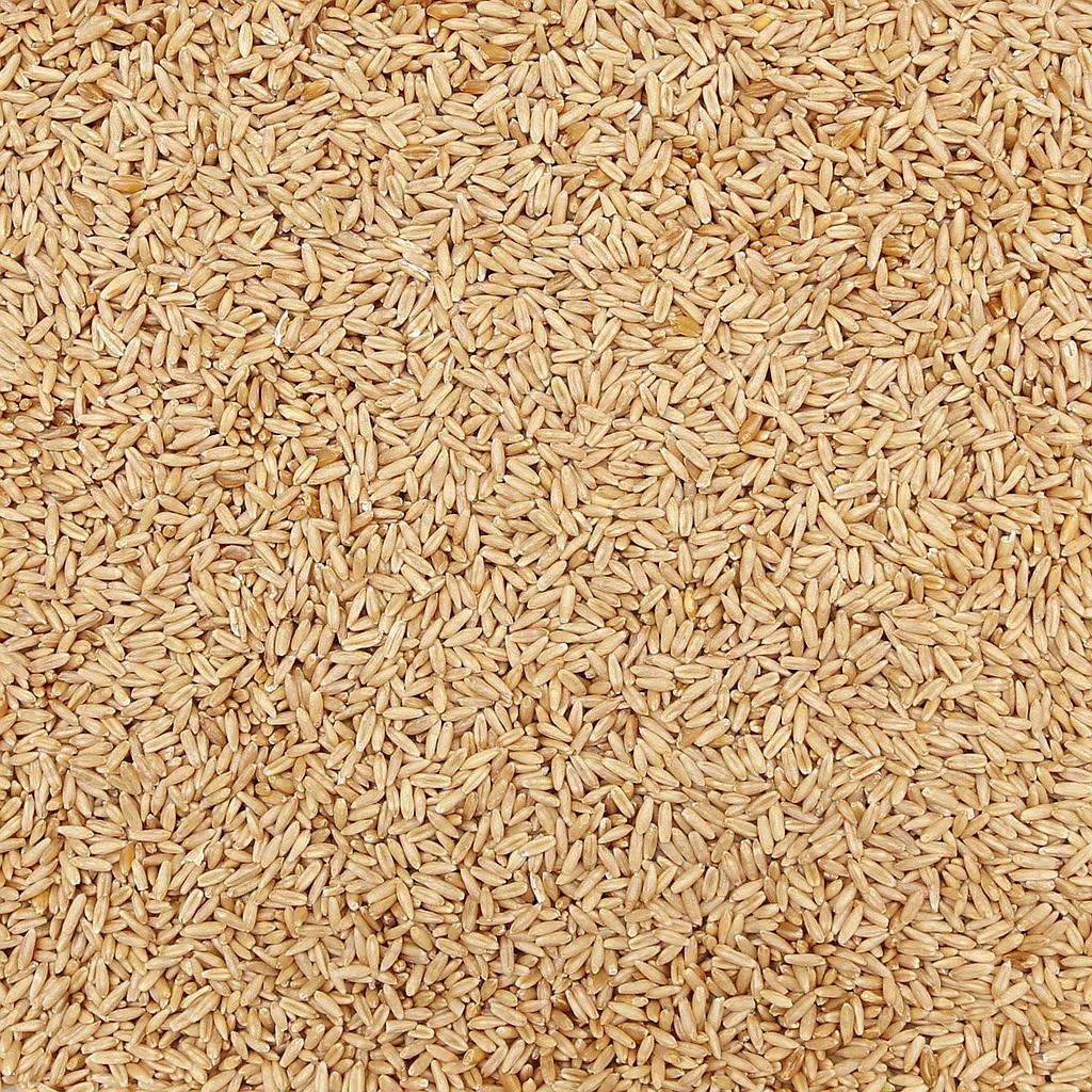 Organic Hulled Oat Groats Hull Removed