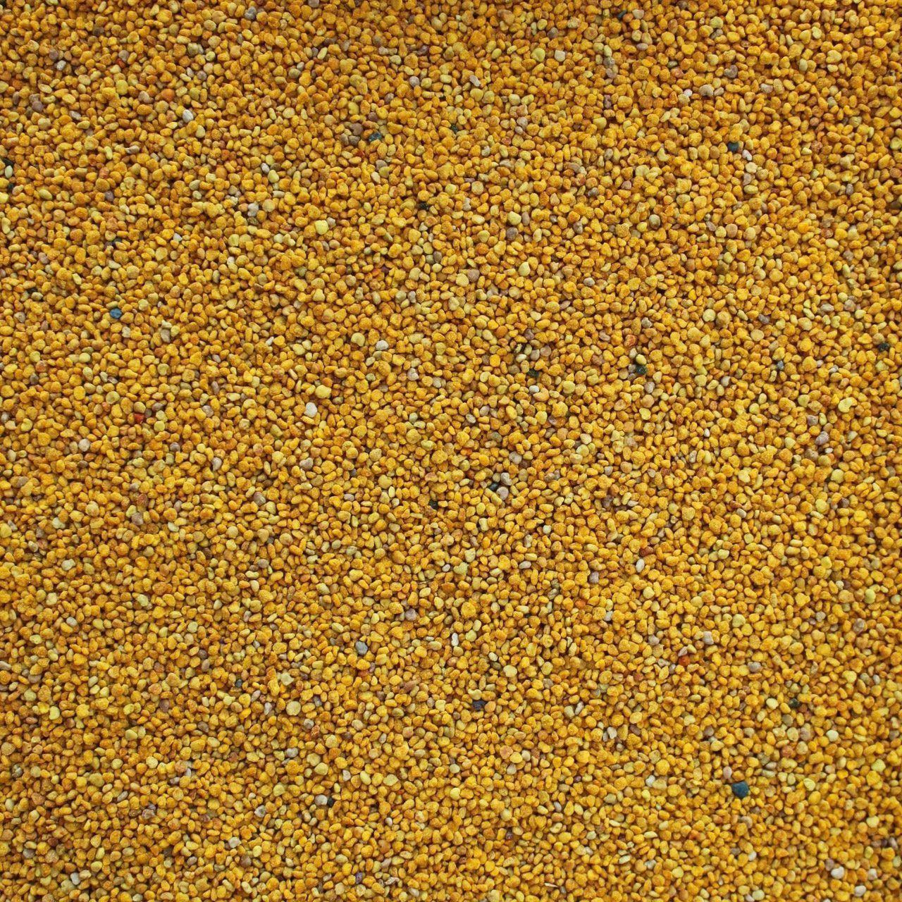 Vilmark Bee Pollen – 100% Pure Natural Non-Processed Granules – 15 Lbs – Immune Support