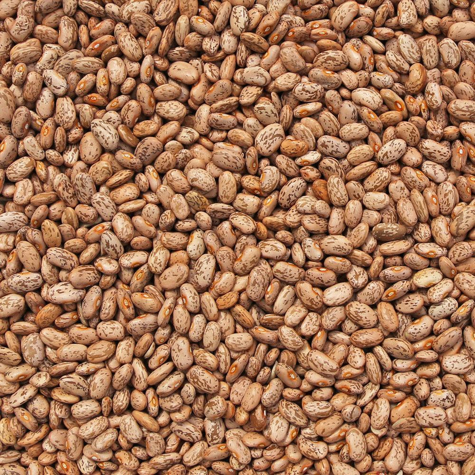 ORGANIC PINTO BEANS Essential Organic Ingredients